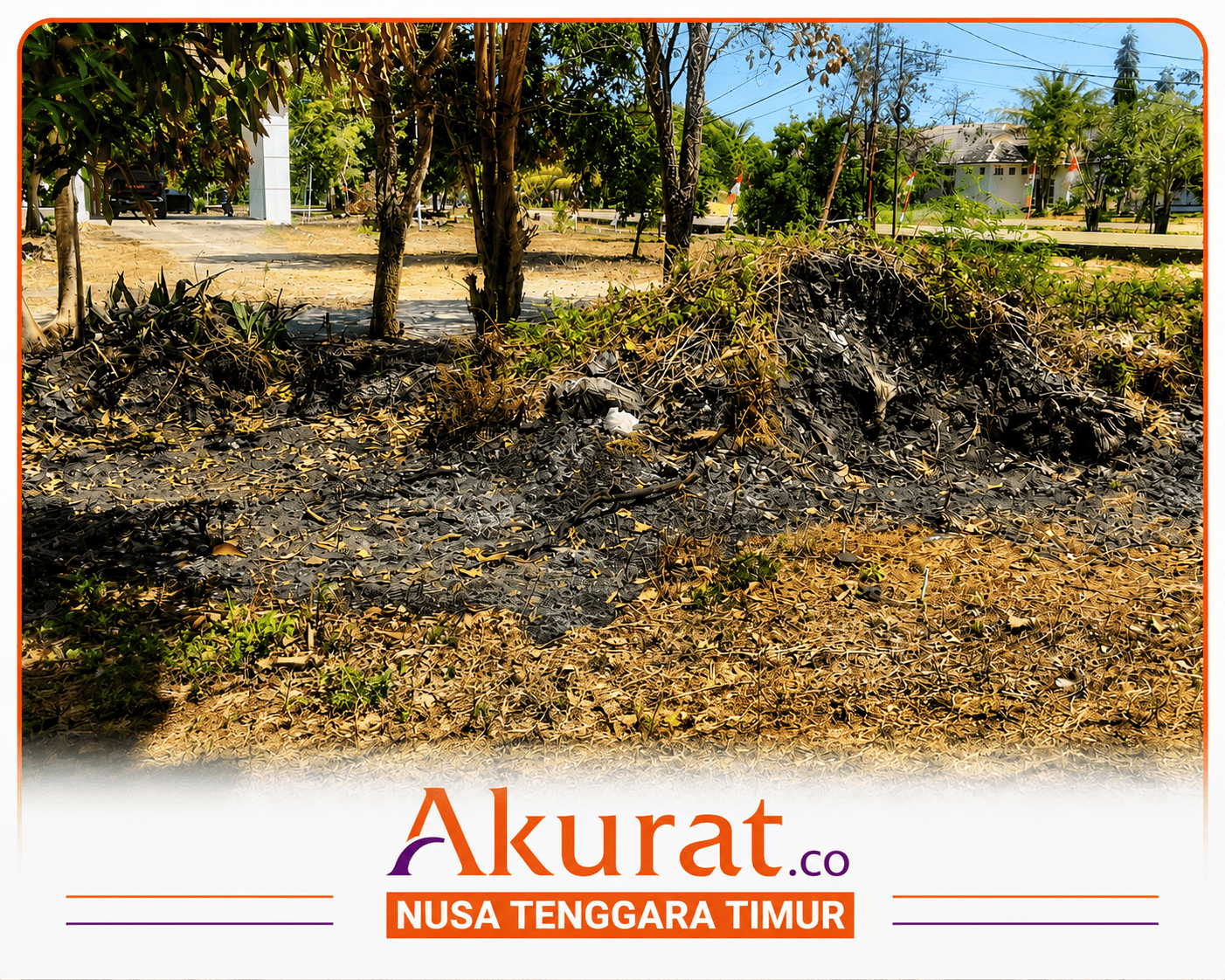 Pengambilan Mangan di Kantor Dispar Kupang Lepas Dari Pantauan Pol PP