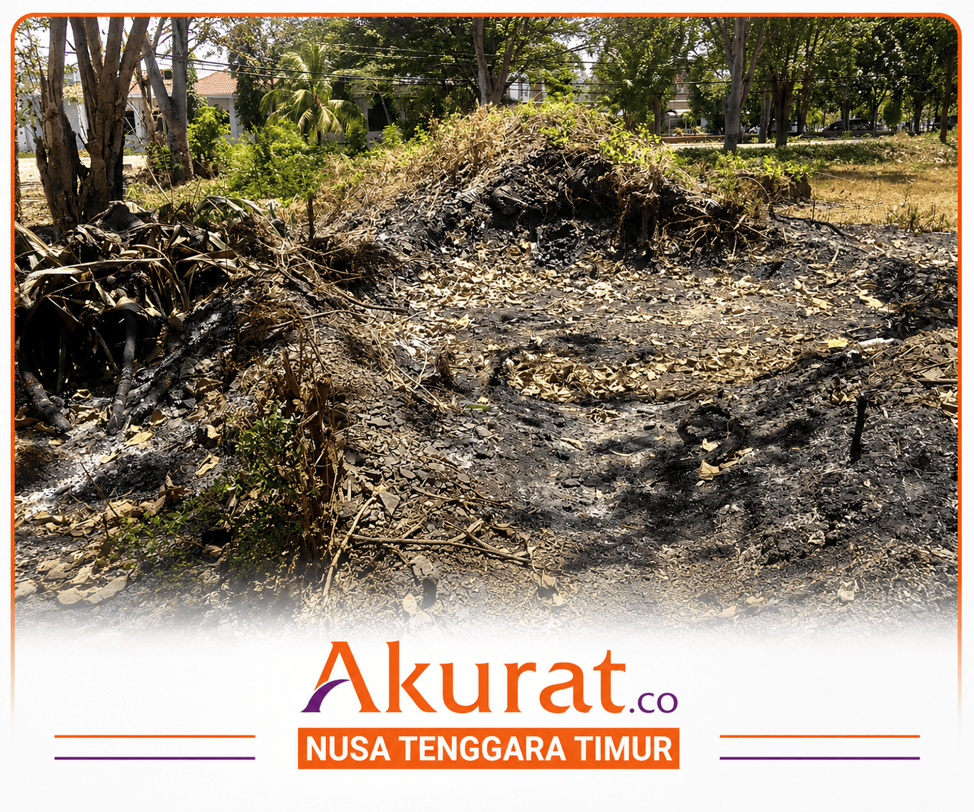 Teka-teki Siapa Pengambil Mangan di Kantor Dispar Kupang Belum Terungkap