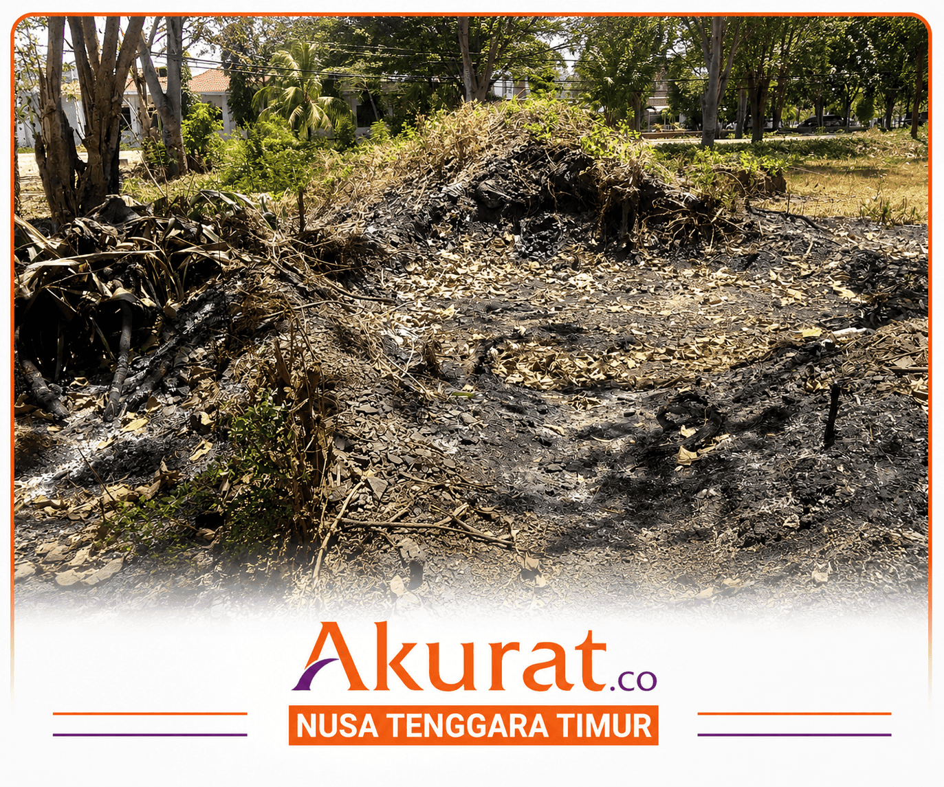 Teka-teki Siapa Pengambil Mangan di Kantor Dispar Kupang Belum Terungkap