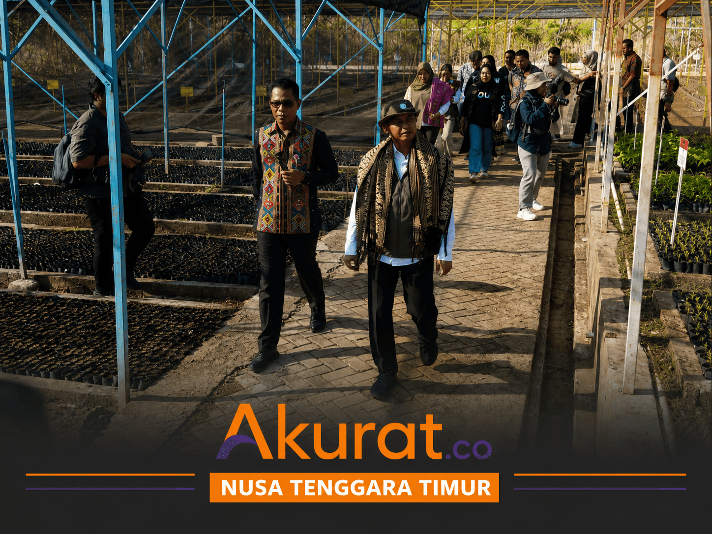 Menhut Raja Juli Antoni Tinjau Lokasi Persemaian Benih di Kupang