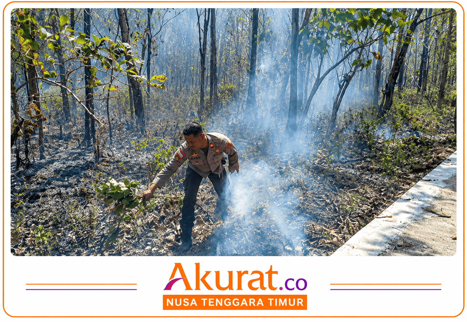 Kawasan Hutan di Kateri Malaka - NTT Terbakar